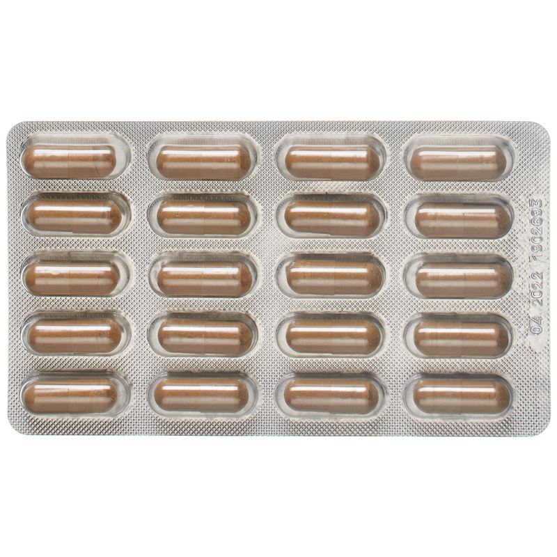 ALPINAMED Grüntee Kaps 120 Stk