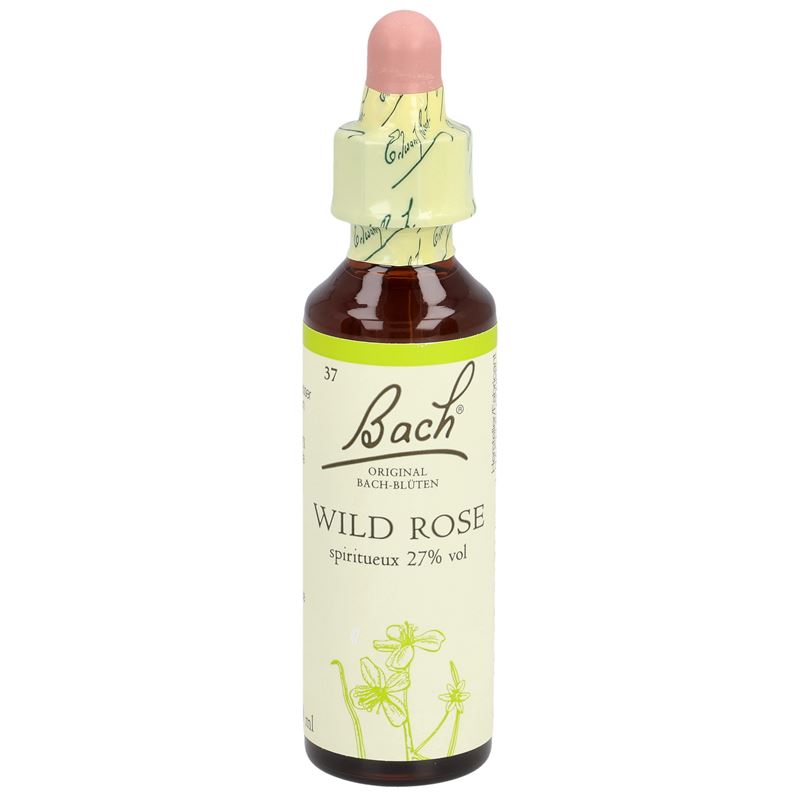 BACH-BLÜTEN Original Wild Rose No37 20 ml