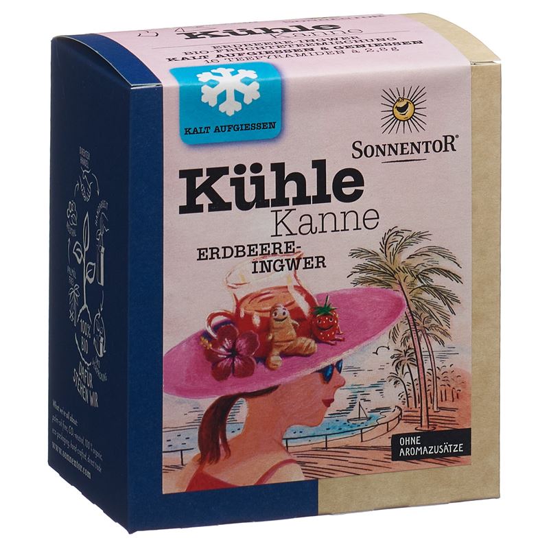 SONNENTOR Kühle Kanne Teepyr Erdb-Ingwer 16 Stk
