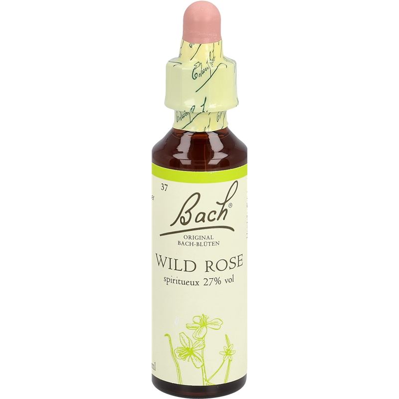 BACH-BLÜTEN Original Wild Rose No37 20 ml