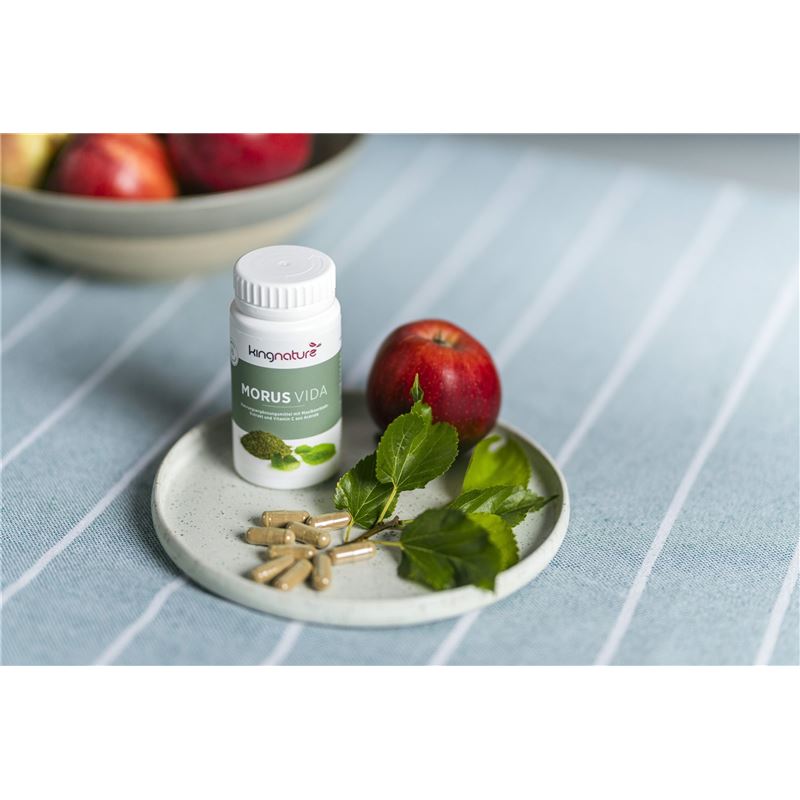 KINGNATURE MORUS Vida Kaps Ds 72 Stk