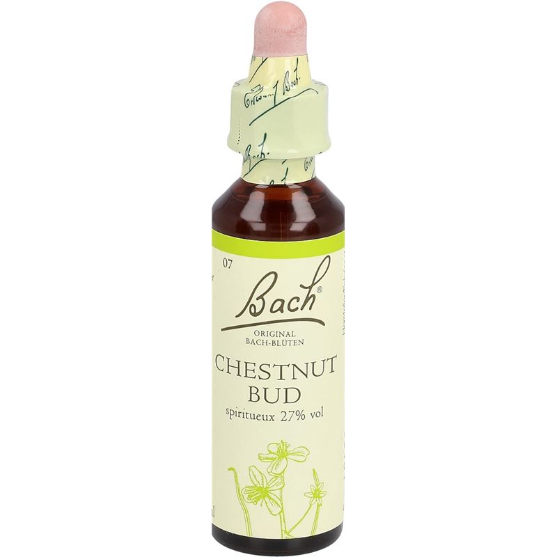 BACH-BLÜTEN Original Chestnut Bud No07 20 ml