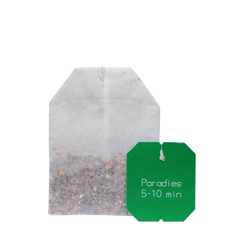 SALUS Paradies Früchtetee mit Vit C Bio Btl 15 Stk