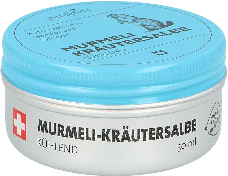 PURALPINA Murmeli-Kräutersalbe kühlend 50 ml