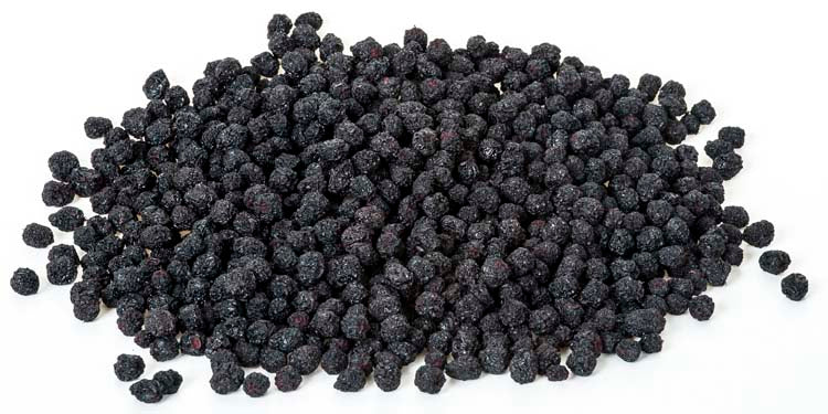 LA VIE SAINE Aronia Bio Btl 150 g