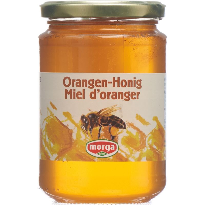 MORGA Orangen Honig Glas 500 g
