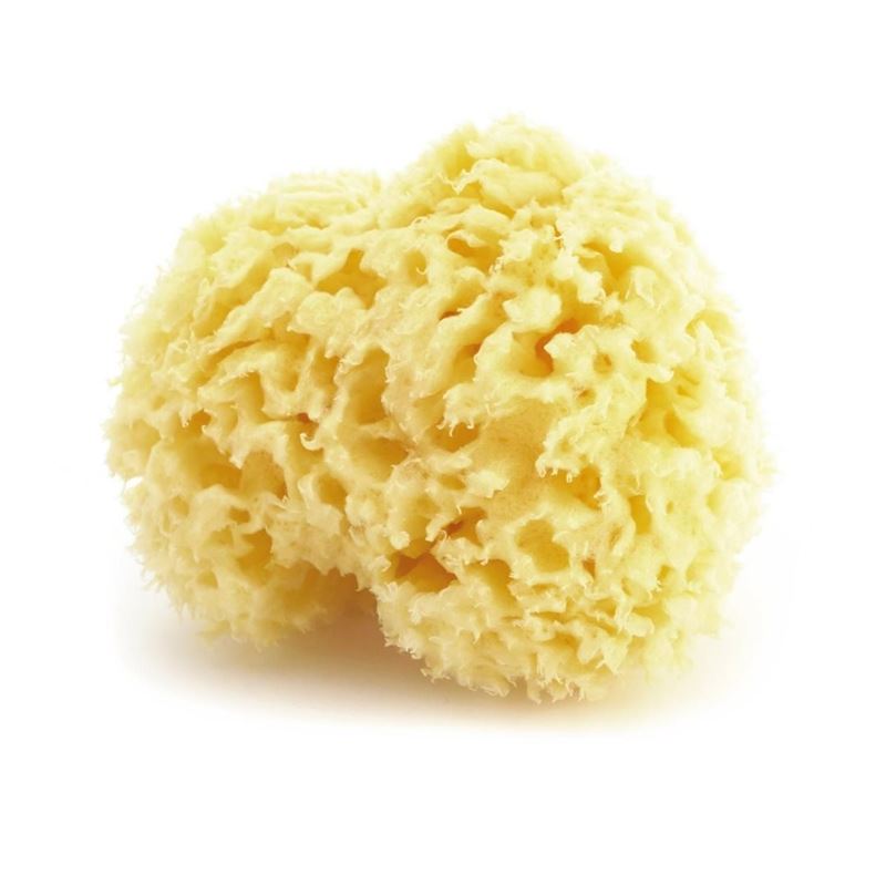 HERBA Naturschwamm gross