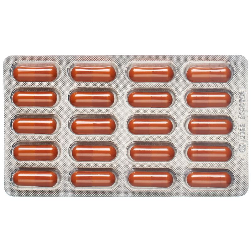 ALPINAMED Curcuma Intest Kaps 60 Stk