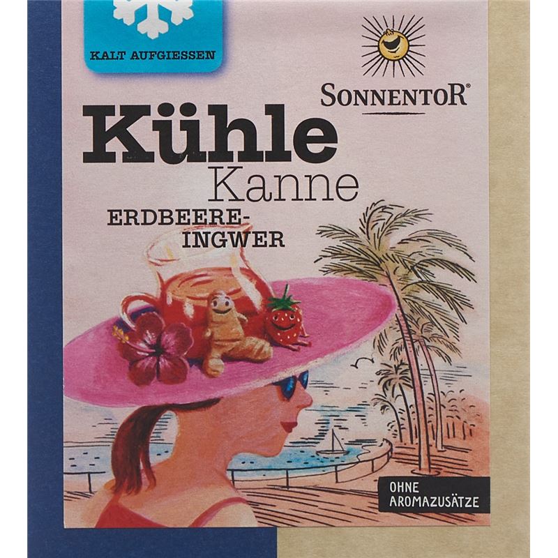 SONNENTOR Kühle Kanne Teepyr Erdb-Ingwer 16 Stk