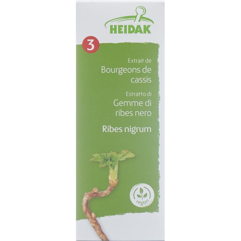 HEIDAK Knospe Johannisb Rib nig Glyc Maz Fl 30 ml