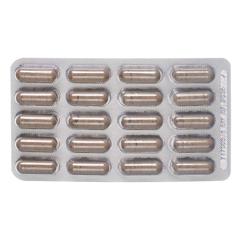 PADMA ACIBEN Kaps Blist 40 Stk