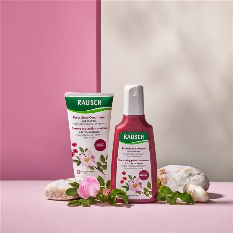 RAUSCH Farbschutz-Shampoo mit Wildrose 40 ml