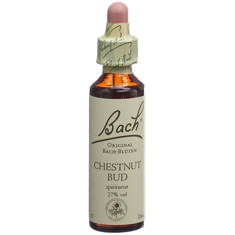 BACH-BLÜTEN Original Chestnut Bud No07 20 ml
